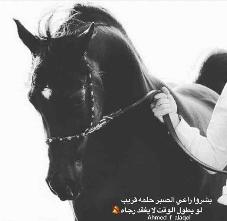 ye_bh3's tweet photo. https://t.co/3QiM7VnxG4