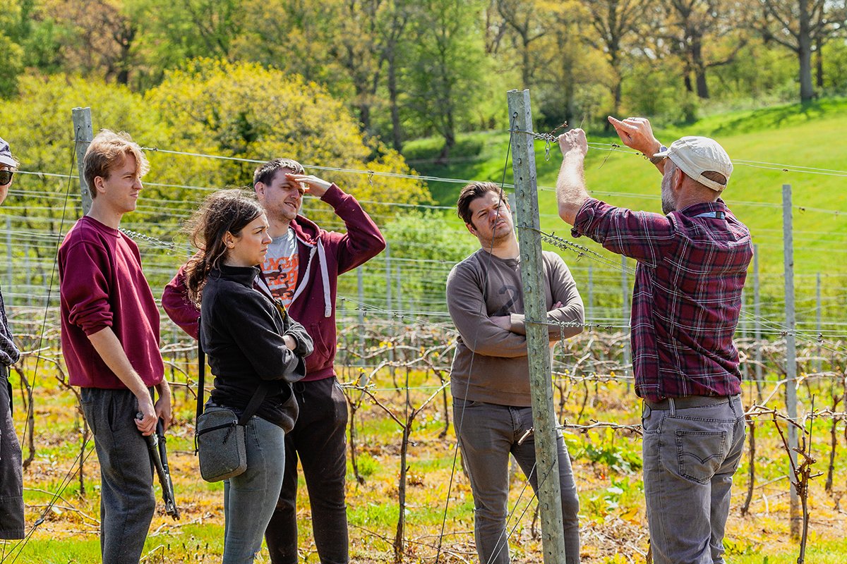 WineSkills tweet media