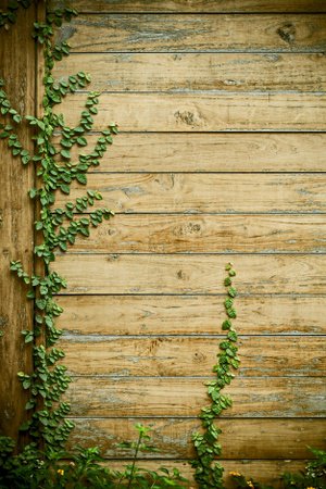 donaldestrel_98's tweet image. #GenesisMiningPayouts, #GenesisMiningProfitability The Mad Tour: Europe 2017 - Episode 29 - HCPP 17 goo.gl/Wa16TB