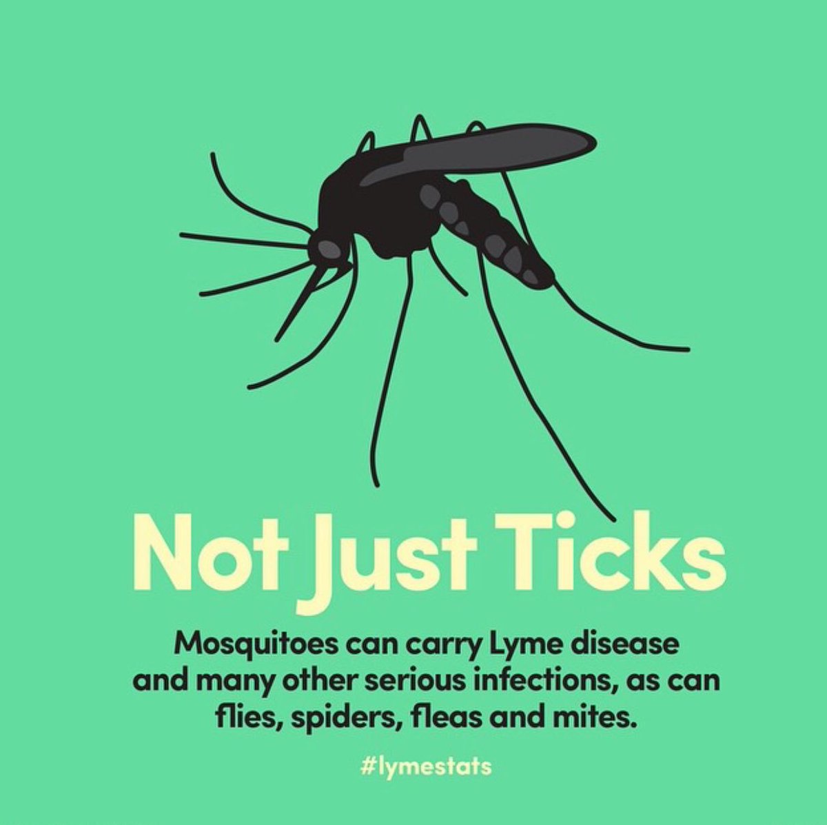 scientificext's tweet image. Ticks, mosquitoes, fleas, spiders &amp;amp; mites can also cause serious infections such as Lyme Disease. That is why at Scientific we have you covered for all pests with our Quarterly Service Program! Using all natural &amp;amp; chemical free products we protect your home and loved ones!