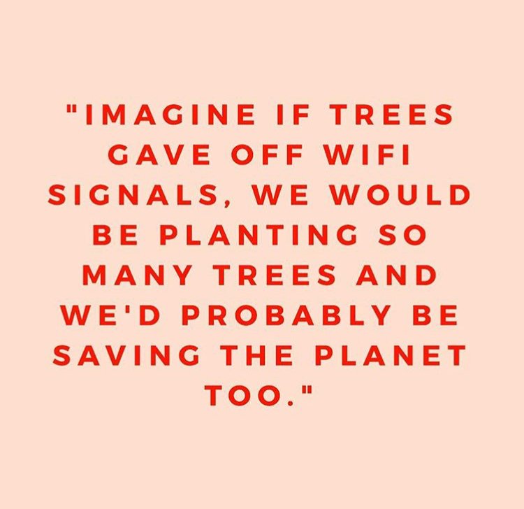 my_kokua's tweet photo. RT @Mayamiko_: Us humans need to get our priorities straight... 💭
.
#switchof #giveback #planttrees #conservation #love #totd #qotd https://t.co/VfJYfx3SFK
