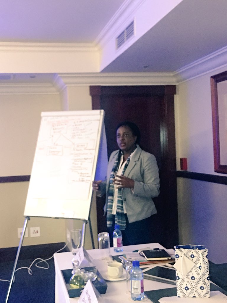 AMSHeRorg's tweet photo. Hivos KPREACH Programme Director Themby Chiware presents the 2019 Plan for the KPREACH Project.
#KPREACH https://t.co/hCItohiT7Z