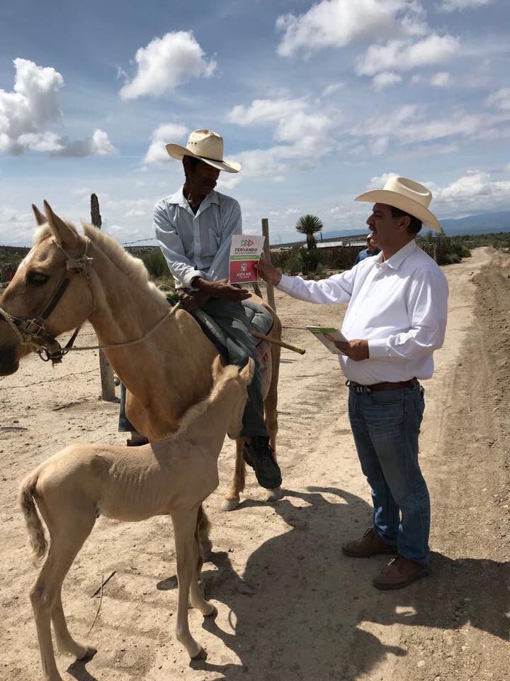 F_DeLasFuentes's tweet photo. El trabajo es sinónimo de entrega, es pasión y disciplina, así es nuestra campaña siempre cerca de nuestra gente y así redoblamos el esfuerzo: siendo sinceros y derechos #FernandoLoHacePosible#D7  #Parras #Saltillo #GeneralCepeda https://t.co/Eyqo9VKWOW