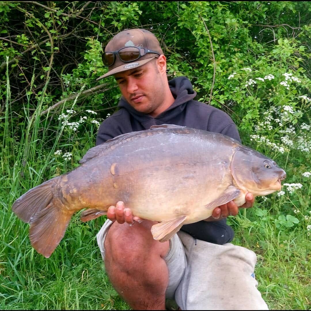 Leads_2_Go's tweet photo. Just a few from a recent session, caught on @RGBaitsUK vita-lac #leads2go #l2g #ooze #imposterz https://t.co/2HJpFdkmEE