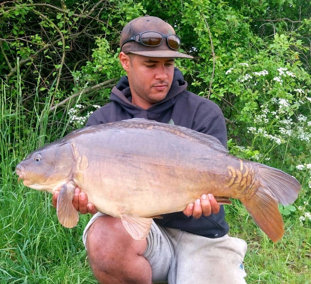 Leads_2_Go's tweet photo. Just a few from a recent session, caught on @RGBaitsUK vita-lac #leads2go #l2g #ooze #imposterz https://t.co/2HJpFdkmEE