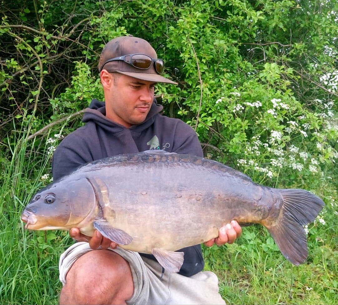 Leads_2_Go's tweet photo. Just a few from a recent session, caught on @RGBaitsUK vita-lac #leads2go #l2g #ooze #imposterz https://t.co/2HJpFdkmEE