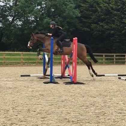 Pennymessenger's tweet photo. A bank holiday weekend, filled with events was just what was needed !! #equestrianlife https://t.co/czCdThxhjF