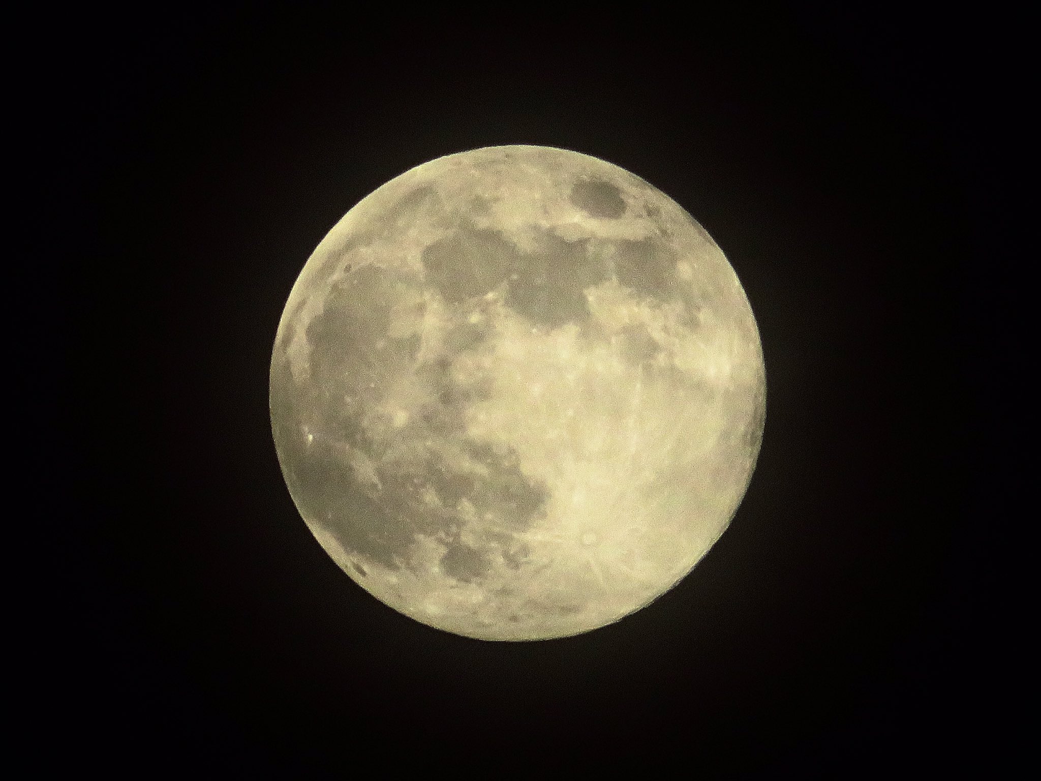 荒木健太郎 フラワームーン 満月が夜空で美しく輝いています 花咲く5月 の満月はフラワームーンとも呼ばれています 雲のかかった満月がカッコいい 月の光が雲にさして 月光環や月暈 22 ハロ もほんのり見えました 今宵も月が綺麗です T