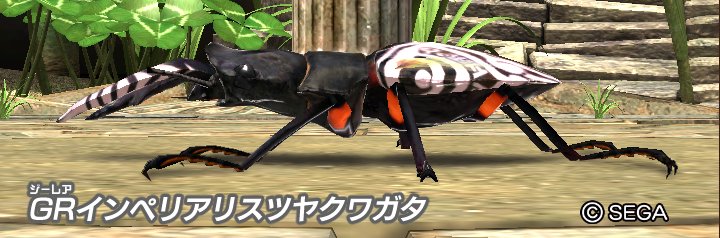 ゴッドフォーム紹介】 インペリアリスツヤクワガタ パートナー：マリア