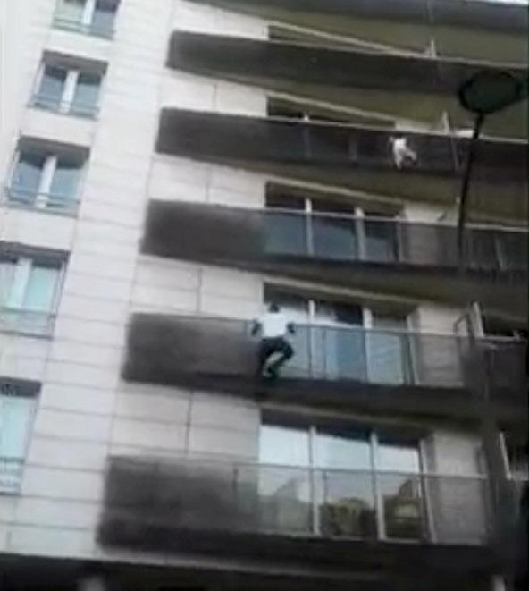 Newsweek's tweet photo. The father of the boy rescued from Paris balcony by 'Le Spiderman' migrants was out playing Pokemon Go at the time https://t.co/Q0N8bXh09p https://t.co/w9018EvIO2