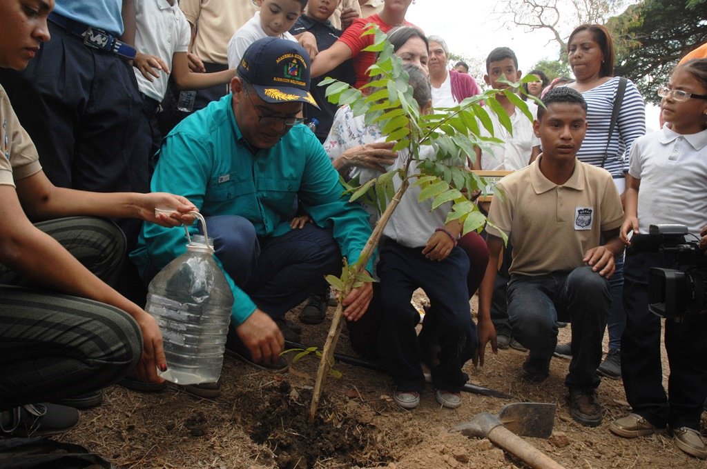 Hoy nuestro Árbol nacional Araguaney cumple 70 años de haber sido decretado por el Ministro de Educación Luis Beltrán Prieto Figueroa y el Ministro de Agricultura en 1948. Valoremos nuestros símbolos naturales.<a href="/NicolasMaduro/">Nicolás Maduro</a> <a href="/JauaMiranda/">Elías Jaua</a>  @Mppe_Dgrpa