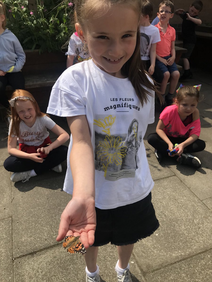 itsMissRaitt's tweet photo. We released our butterflies today.  Some learners were lucky enough to have them land on little hands! https://t.co/ngtiWhYrVk