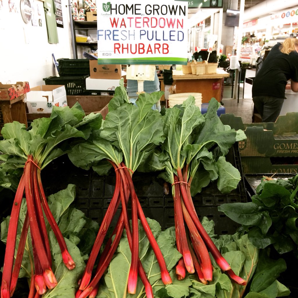 Rhubarb Ripple!  It’s going fast but we will still have some scoops and tubs today... and it won’t be the last rhubarb recipe this season!! 😃 #henrybrowns #hamontfood #hamont #mycustomersrock #greenuphenrybrowns @hamontmarket #freshrhubarb #rhubarbripple #rhubarbrippleicecream