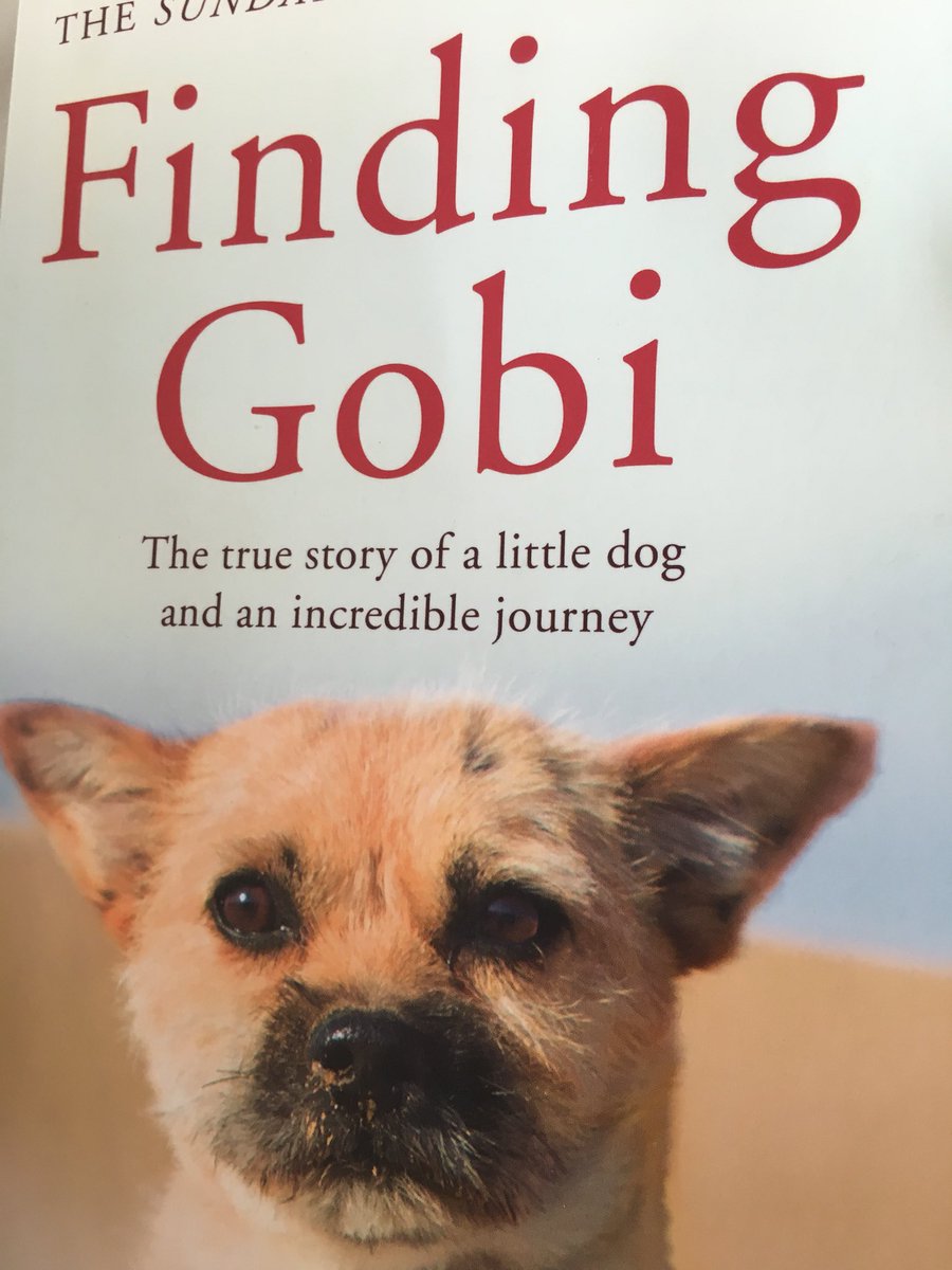 Started this last night and just finished it. Loved it. #findinggobi #halftermreading