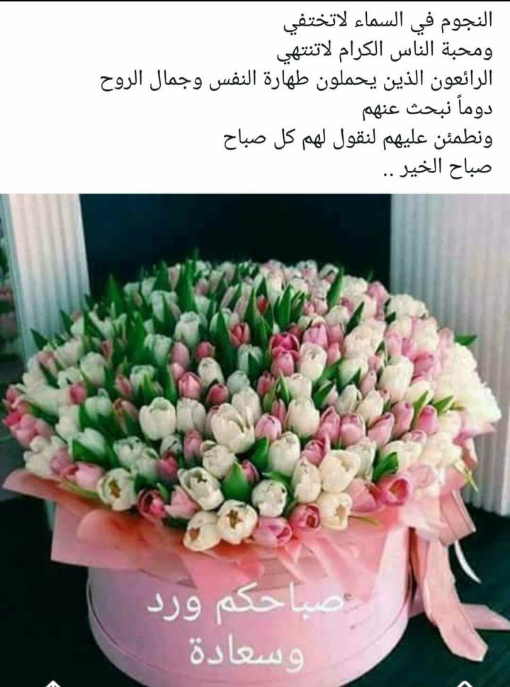 <a href="/howidaramadan82/">.هويدا رمضان</a> 🌹🌹🌹😘😘😍
