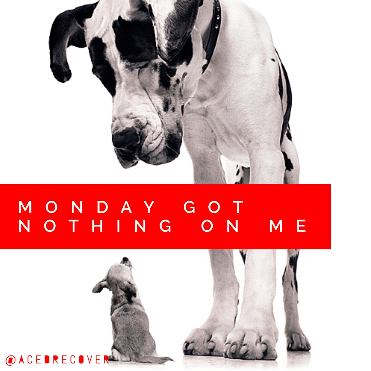 ACEDrecover's tweet image. Size doesn’t matter, said David to Goliath. #conquerMonday #letyoubeyou