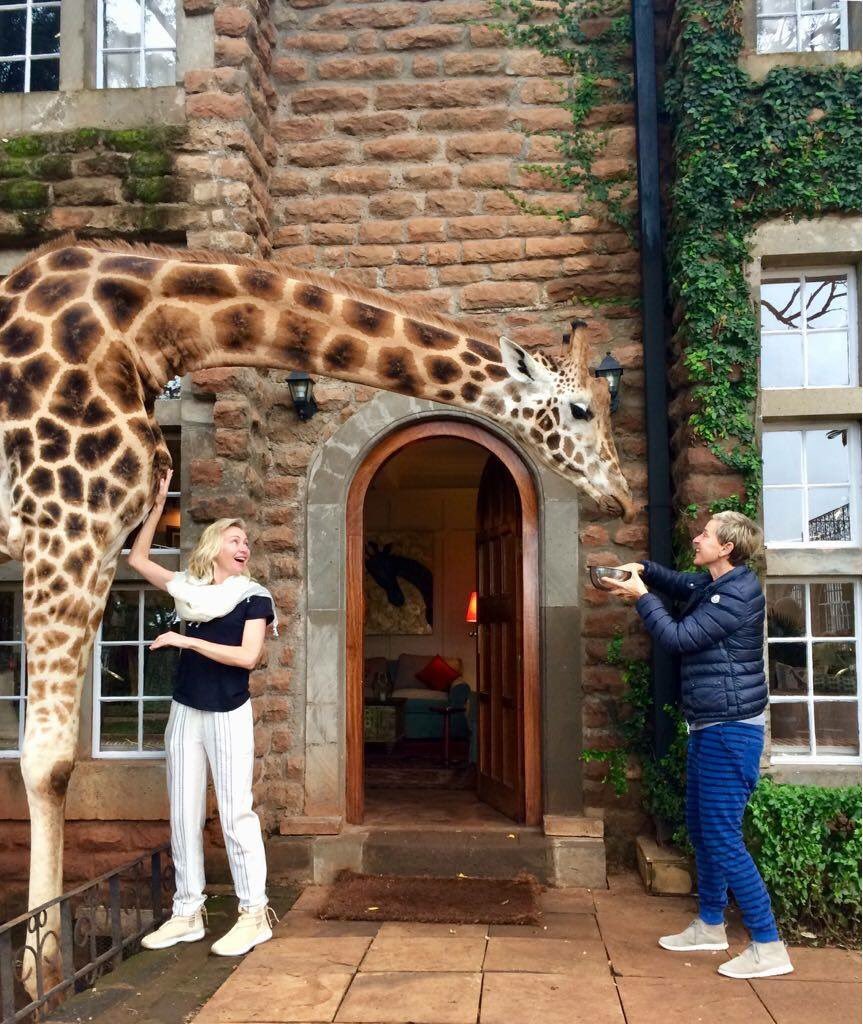 When @TheEllenShow comes to visit 📷by @giraffe_manor #kenya #africa #DiscovertheSafariCollection #traveltuesday #EllenDeGeneres #janinecifellirepresentation