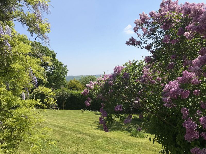 A unique opportunity to acquire this substantial, period, 5 bedroom detached house nr Winkleigh. Large private gardens &amp; superb countryside views.
stevensestateagents.com/properties-for… #property #devon #countryside <a href="/relocateSW/">relocateSW</a> <a href="/WMNHomes/">Amazing Westcountry Homes</a> <a href="/DLiveProperty/">Devon Live Property</a> #devonhour