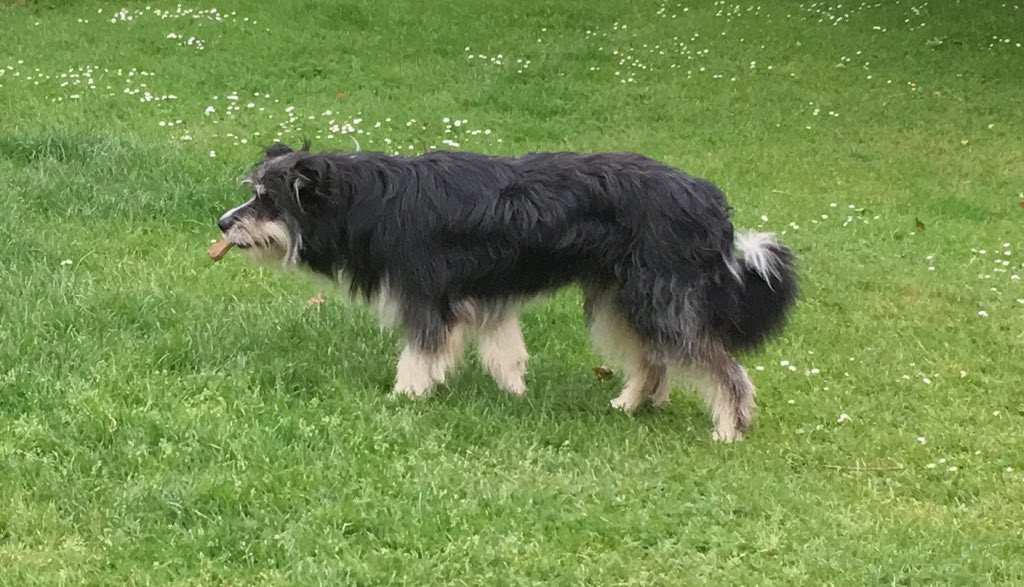 View image on Twitter