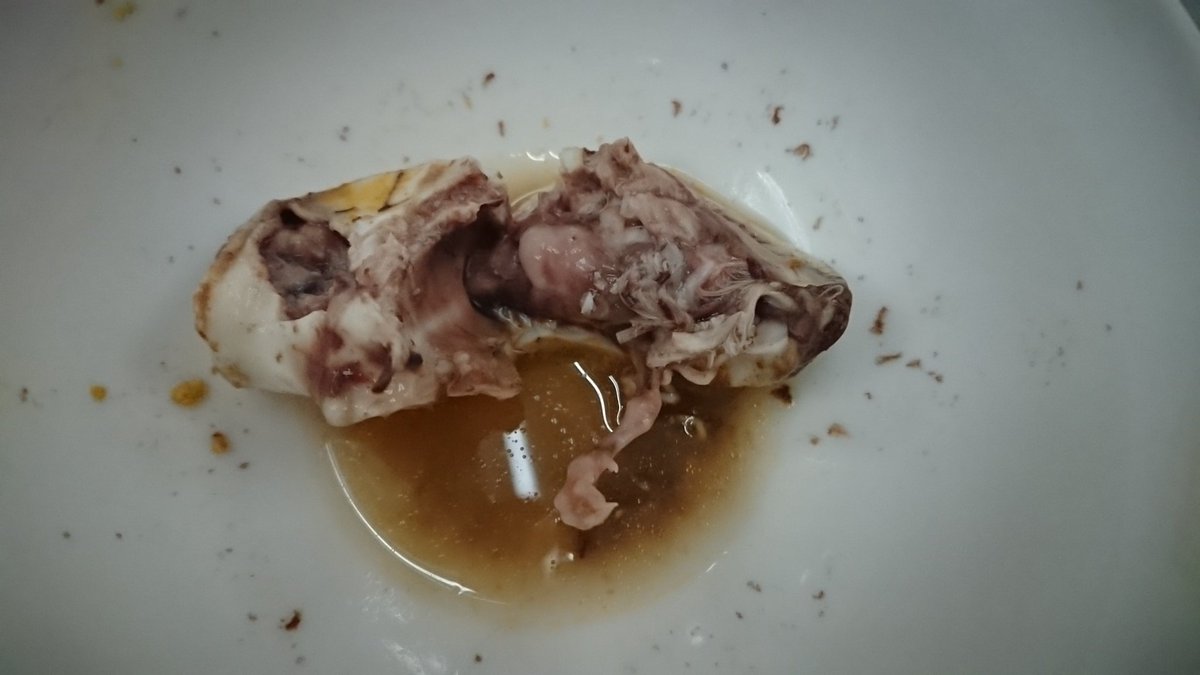 西木野ワサビ M Sicforever V Twitter 人生初バロット 雛料理 ベトナム語でホビロン Hot Vit Lon 孵化しかけているアヒルの雛ごと茹で玉子にした料理 羽毛とか脚とか頭とかめちゃくちゃ分かるけど味はただの茹で玉子 何か違う食感は感じるものの変な味はしない