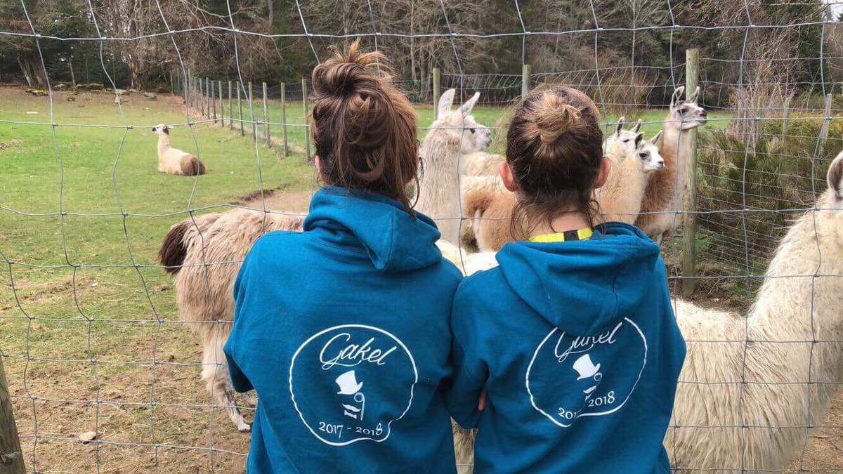 Maxi_Camp_Fr's tweet photo. Gakel Kiné Ergo Lyon et ses amis les lamas sont en sortie à la campagne ☺
En tout cas ils nous faut bien rire au bureau avec leurs photos atypiques 😉
Puis ils gardent le style avec les sweats à capuche by @Maxi_Camp_Fr 👌
#ChillandRelax #Nosamisleslamas #Gakelpower https://t.co/kvVktEJ2y8