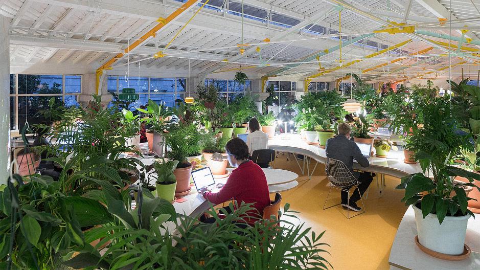 GPGBdotORG's tweet photo. Our Solution for the Indoor Generation - https://t.co/WdskfOIXDh #biophilia #biophilicdesign #bringnatureindoors #nature https://t.co/NWQEH4bIC8