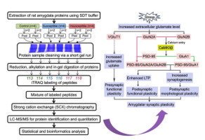 view sialic acids chemistry metabolism and function