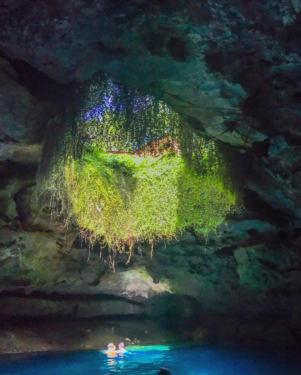 I have a feeling the second half of 2018 is going to be just as good as the first half 💙😋😉💚#FloridaSprings #devilsden #Floridaroadtrip #summertime #explorida #realFlorida #naturalFlorida #underwaterphotography #freediving #underwatercaves #picoftheday #loveFL