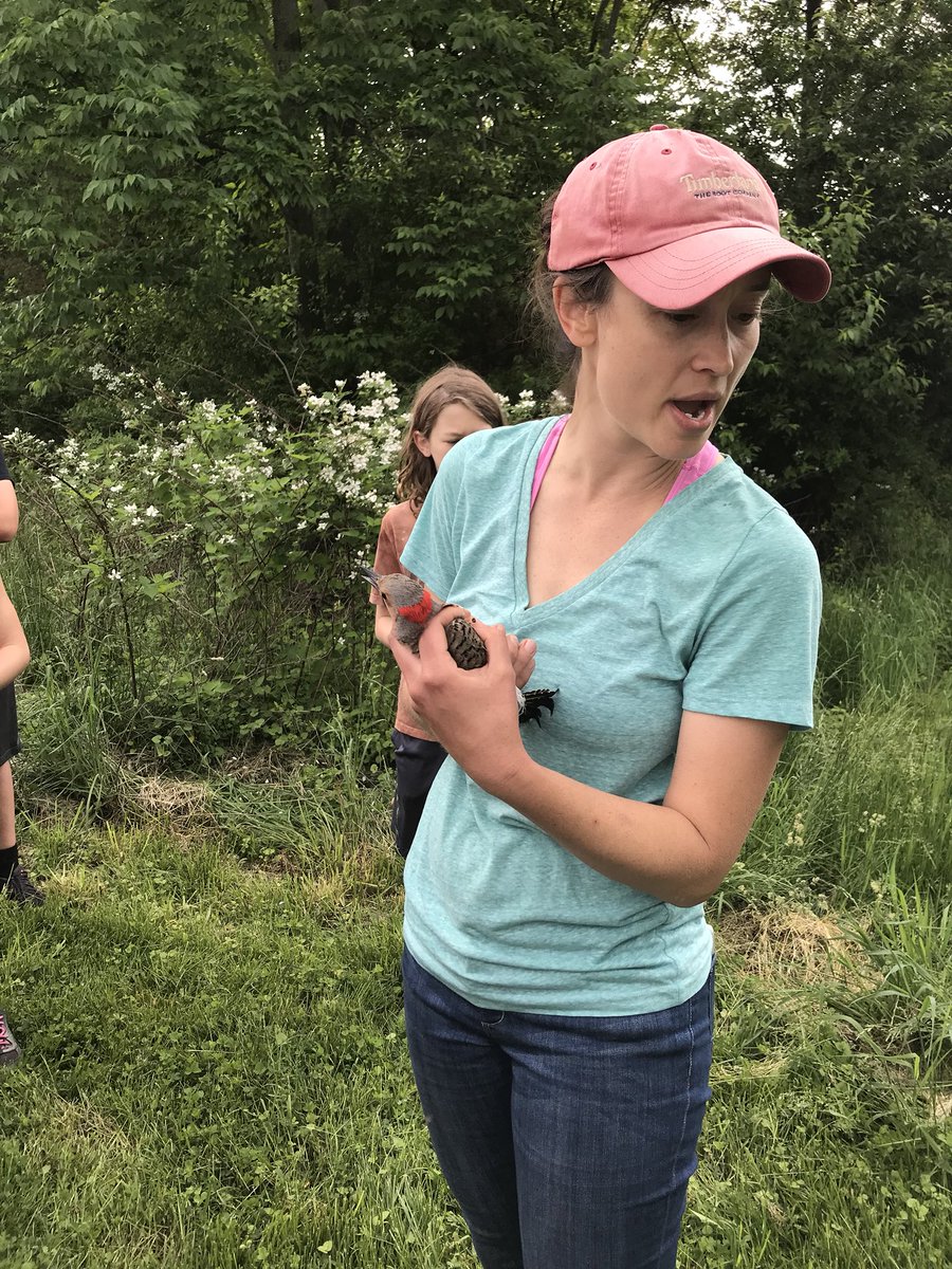 DrHydrogenHC's tweet photo. Mercer County Naturalist, Jenn Rodgers gives a birding demonstration to fifth graders today. We caught a 2 Catbirds, a Flicker and a Sparrow. Amazing morning! #naturelovers #springbreeding @MercerCoParks @nature_NJ https://t.co/uOf8SrpYai