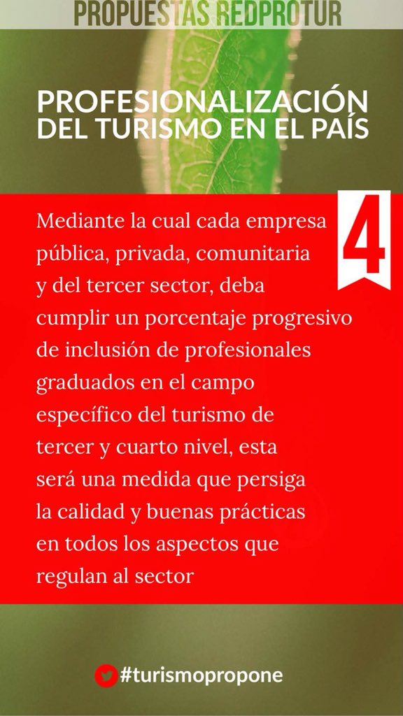 RedProTurEcuado's tweet photo. 📌4️⃣ Profesionalización del turismo en el país📌
#RedProTurPropone https://t.co/YiDCSI307c