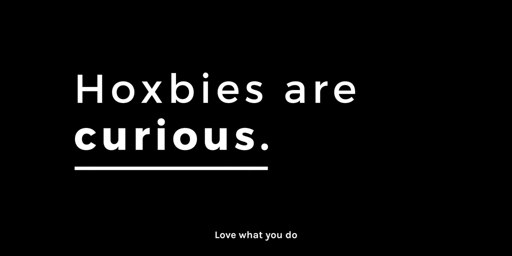 Hoxbies are curious. They are curious about better ways to work, businesses doing things differently, and different ways to look at life. They don't settle for the status-quo, and they don't stop learning. 
#BetterTogether #HappierWorld #FutureOfWork #FlexibleWork