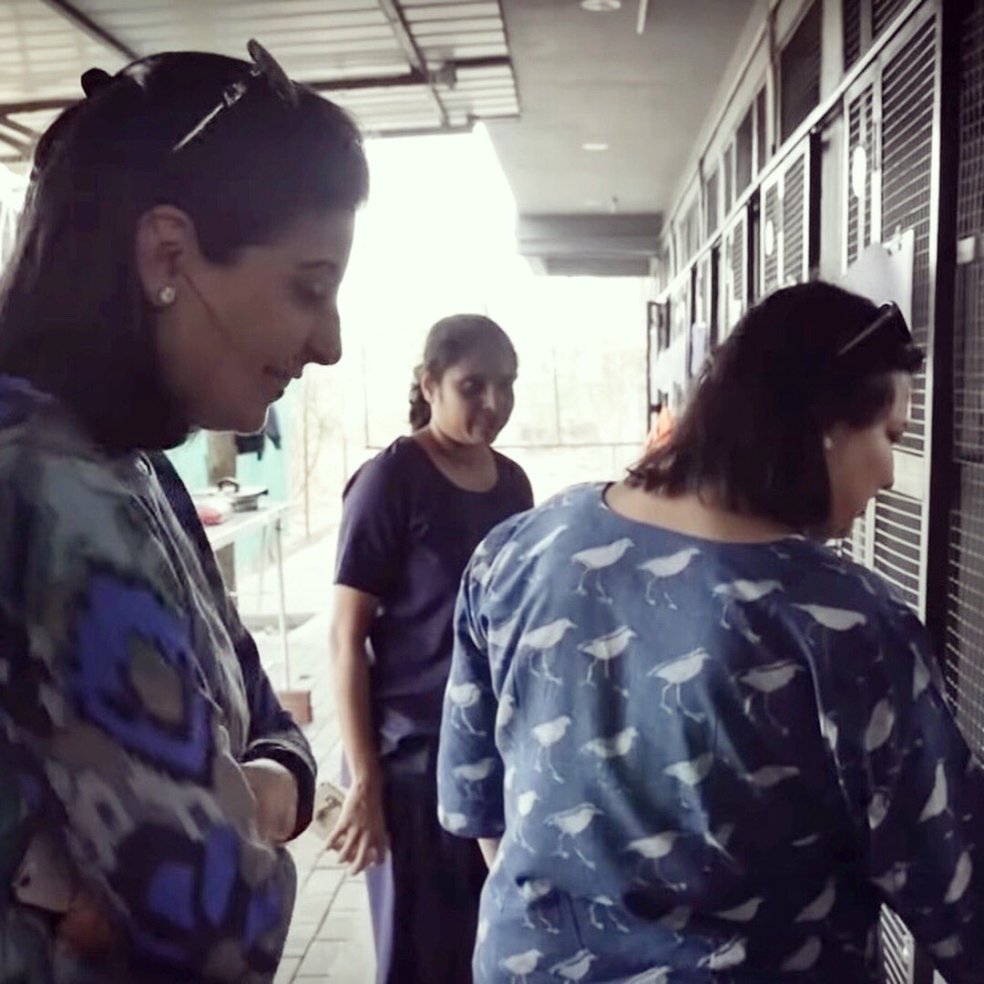 Canine Control and Care tweet media