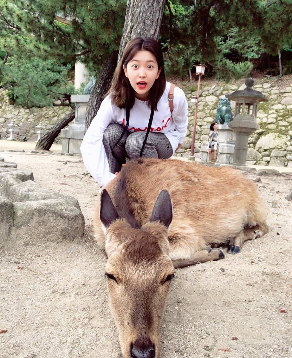 huddylilx's tweet photo. Fotoğraf çekilmeden geçmek istemedim kkk~ Luluş bak kimi buldum? 😂
#Geyik #DoYeri https://t.co/txFOCPwYhn