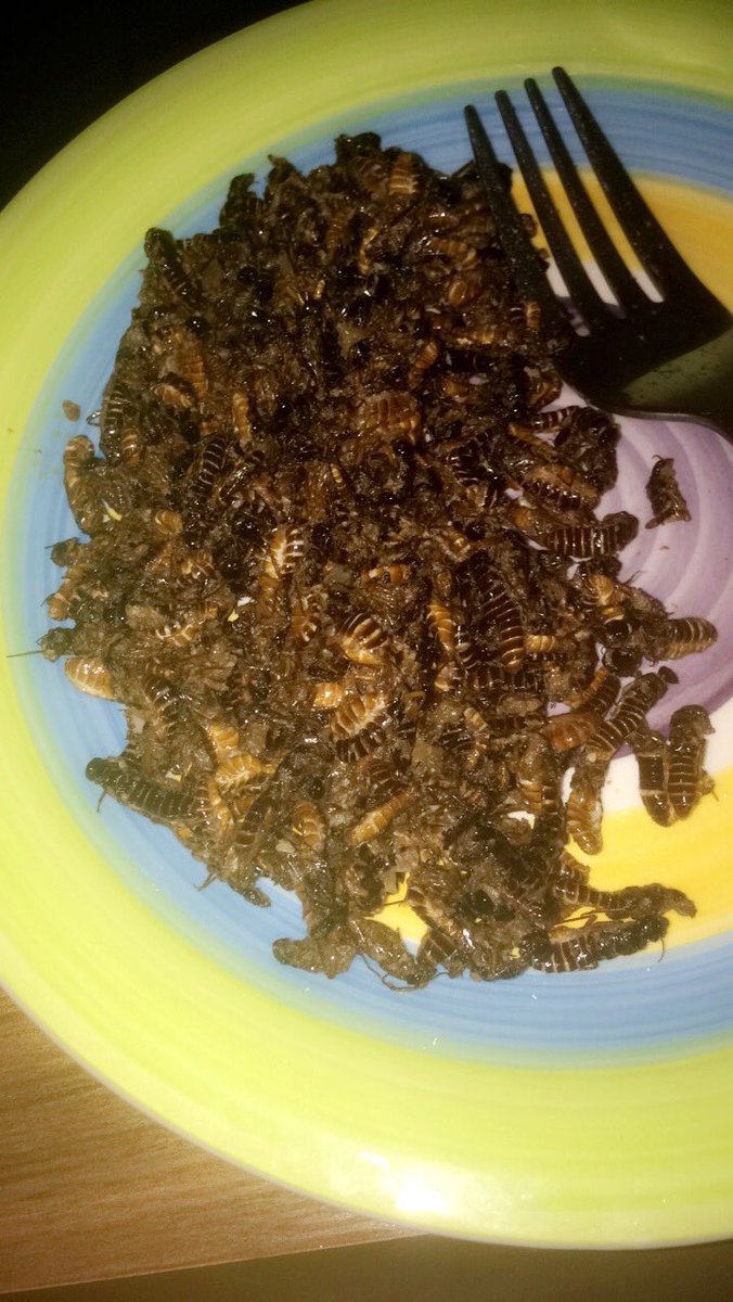 ladyasmine_'s tweet photo. Le vivons ensemble c'est aussi tous s'asseoir à une même table sans se préoccuper si l'un est bassa'a, mbamois, beti, bami, duala, ou nordiste et savourer du bon met de pistache,du sanga,du pilé pomme,termites

#VivonsEnsemble237 🇨🇲🤸‍♀️ https://t.co/CUVbVh4MIq