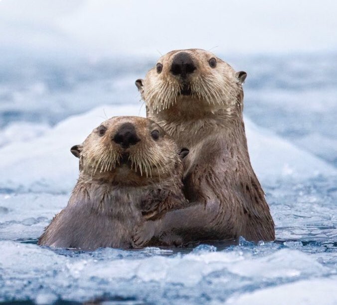 brolikemee's tweet image. See good in every situation! #TuesdayThoughts