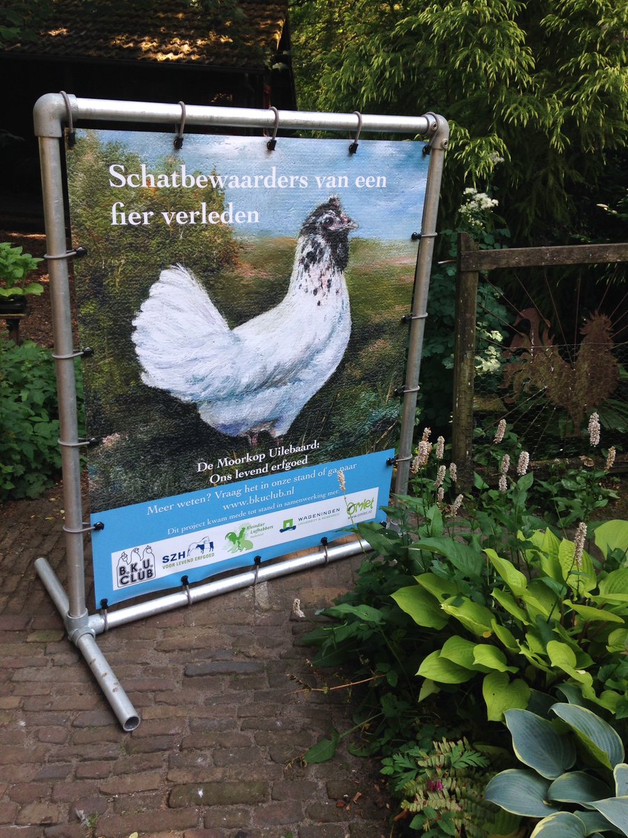 RRolinka's tweet photo. Schatbewaarders van een fier verleden! Het nieuwe #MoorkopProject stoepbord voor #evenementen 2018 is gearriveerd. Zo kun je onze stand al van verre zien! @Hindersteyn @Marienwaerdt @levenderfgoed @CGN_Wageningen @OmletBenelux #BKUclub https://t.co/JOTSFk6G9a