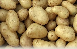 lovenifood's tweet photo. The first @ComberEarlies potatoes #PGIstatus go on sale in shops and for use by restaurants across #NorthernIreland #TastetheGreatness #uniqueflavour #PGIStatus #IconicRegionalFoodBrand #Pure #Natural #Quality https://t.co/ra1nSZ9xjq
