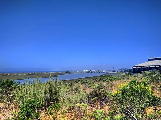 Slicehawk's tweet image. MBARI off in the distance from the deck. #mlml #mbari #lablyfe ift.tt/2JkKg9o