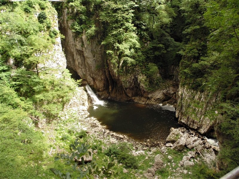 infosloveniabe's tweet photo. Ontdek de #stromingen van de #Reka #rivier nabij de #grotten van #skocjan in #slovenie. Een leuk alternatief voor een #daguitstap voor #kinderen die bang zijn in de donkere #grotten , meer info https://t.co/NQ4xzlWzDT
#caves #jama @SkocjanCaves #ifeelslovenia #Slovenia https://t.co/gZoemAFq21