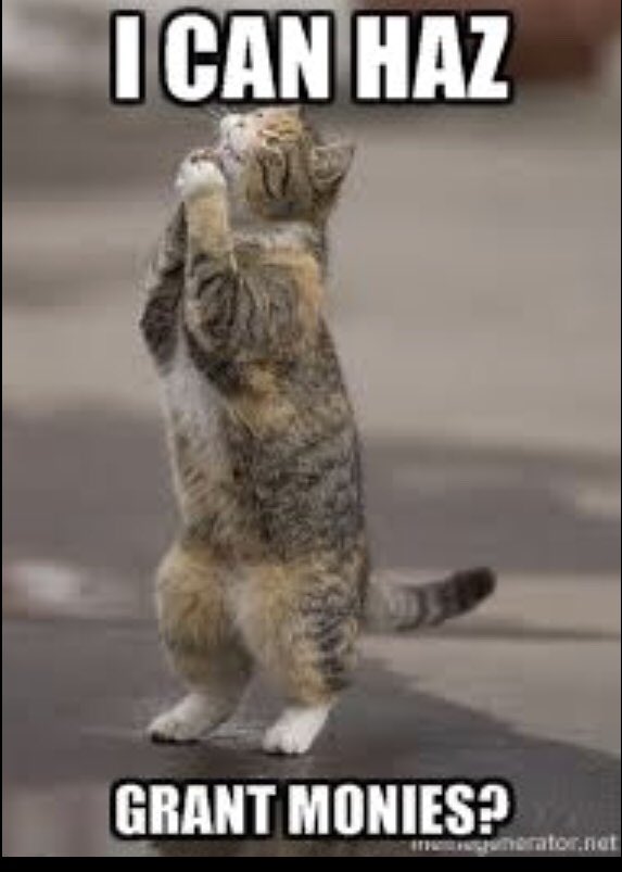 #PiratesCRUISE18  #Q3 thanks Kim Bramhall!!