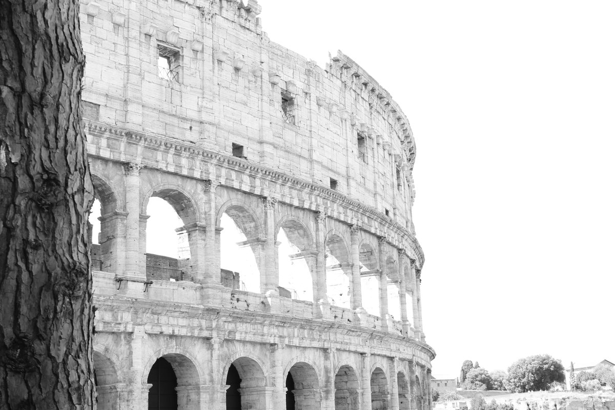 CaptureDeVoyage's tweet photo. 🇮🇹#Rome, retour d'expérience! Rendez-vous sur le blog : 
 [https://t.co/cqZAccGwgi] 
#Italie #Italy #Travel #Trip #Voyage #Photography https://t.co/rpFYUa0oWq