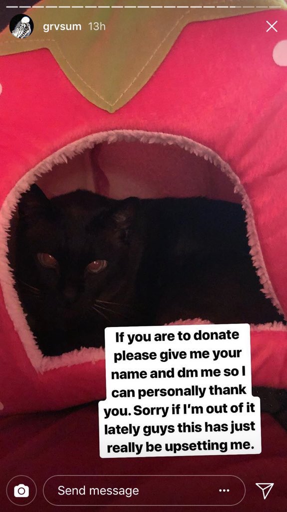 I don’t know if it’ll get me far but
This really hasn’t gotten enough attention, so if you guys have even a dollar to spare, please consider donating ;;

Their paypal link is on instagram.com/grvsum

Even rting could help a lot, thank you.