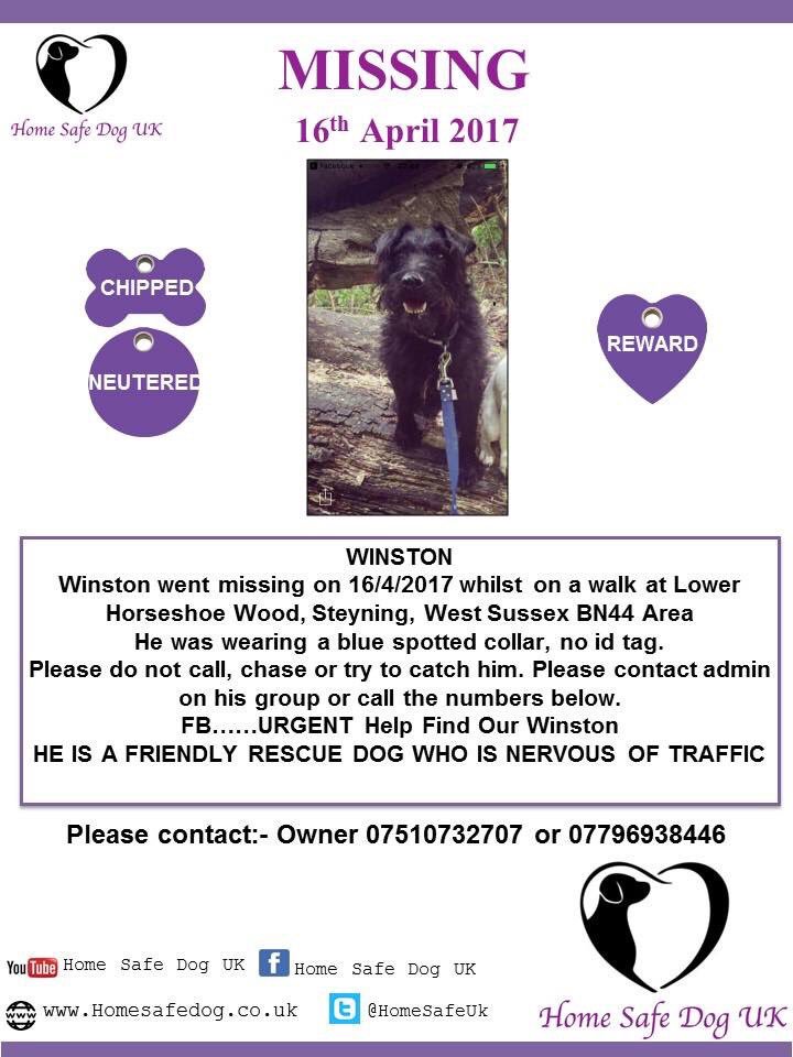 rosiedoc666's tweet photo. WINSTON 16/4/17 he was on a #walk Lower HorseShoe #Wood #Steyning #WestSussex #BN44
A friendly #rescuedog WHERE DID HE GO? A black #Patterdale with a white patch on chest
https://t.co/pgNqIh39tk https://t.co/qVYAlyznDm