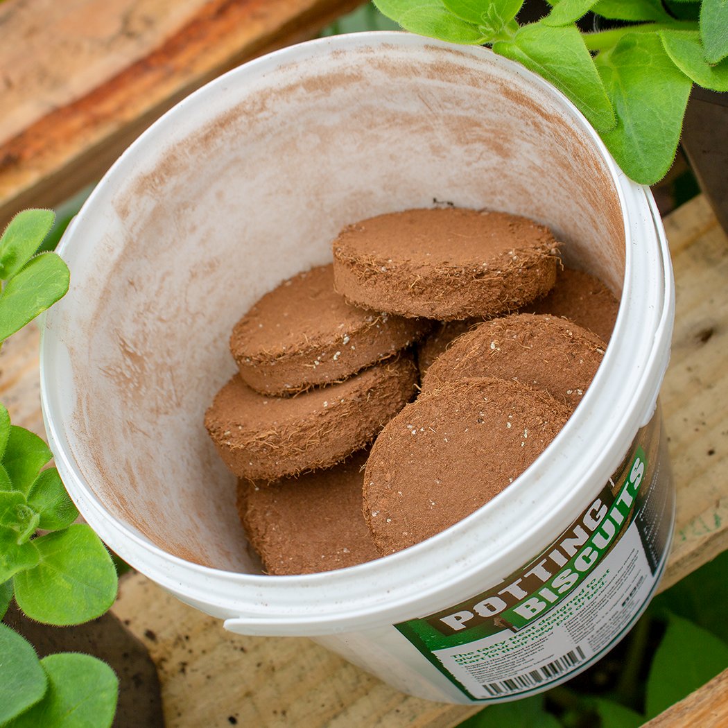 HydroGardenLtd's tweet image. For #NationalBiscuitDay, pick up some @Propagateplants Potting Biscuits to help your pot plants thrive during the summer months #MoistureRetention #Water #CocoFibre
