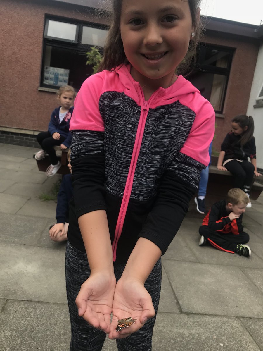 itsMissRaitt's tweet photo. We released our butterflies today.  Some learners were lucky enough to have them land on little hands! https://t.co/E3b4wFypgZ