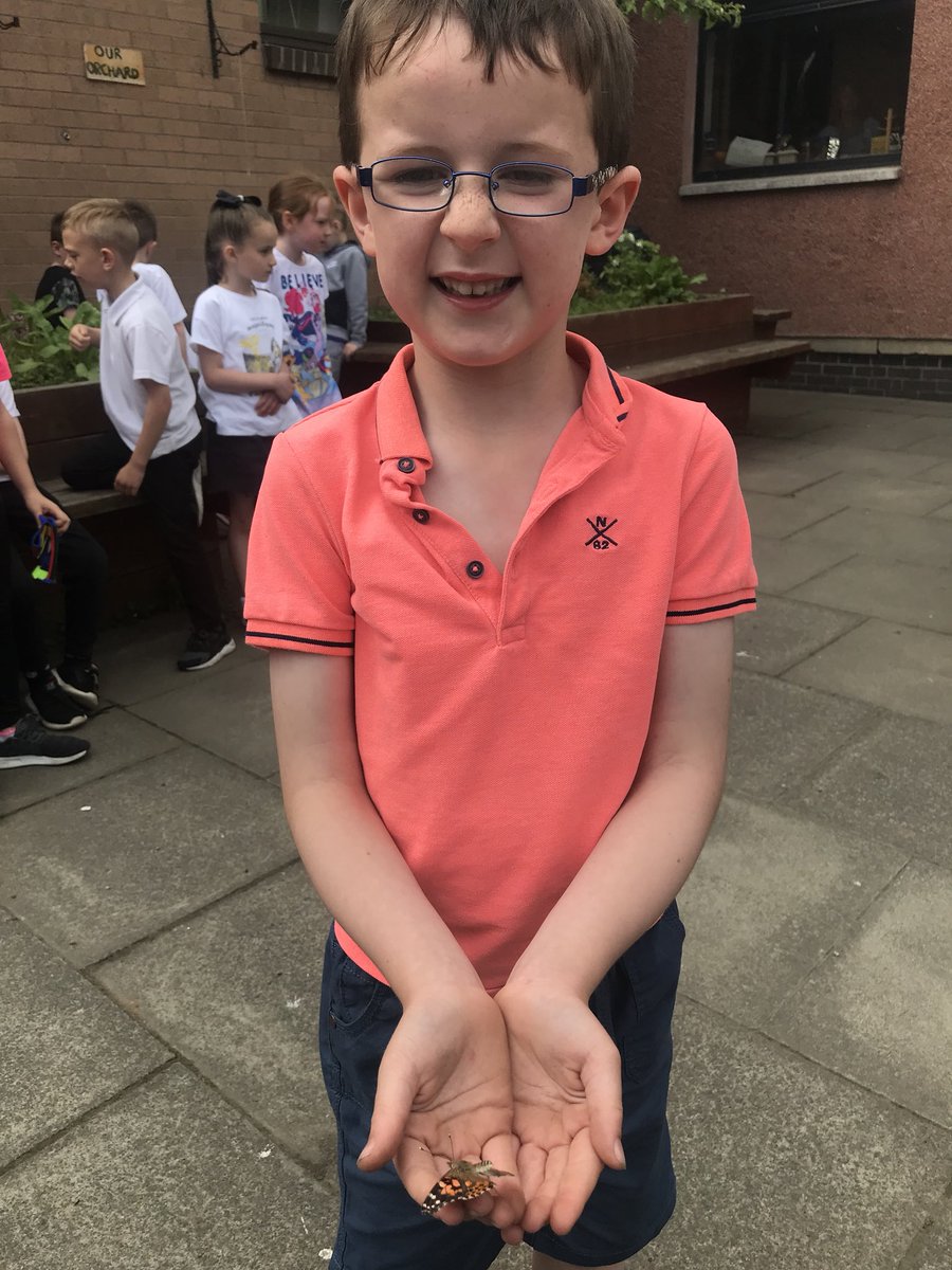 itsMissRaitt's tweet photo. We released our butterflies today.  Some learners were lucky enough to have them land on little hands! https://t.co/E3b4wFypgZ