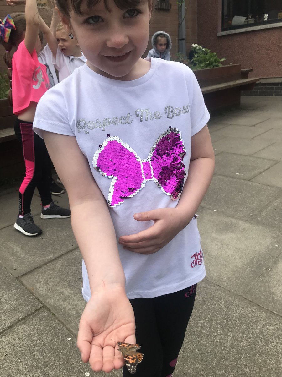 itsMissRaitt's tweet photo. We released our butterflies today.  Some learners were lucky enough to have them land on little hands! https://t.co/E3b4wFypgZ