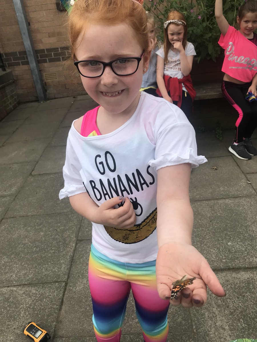 itsMissRaitt's tweet photo. We released our butterflies today.  Some learners were lucky enough to have them land on little hands! https://t.co/xUSluByg1F