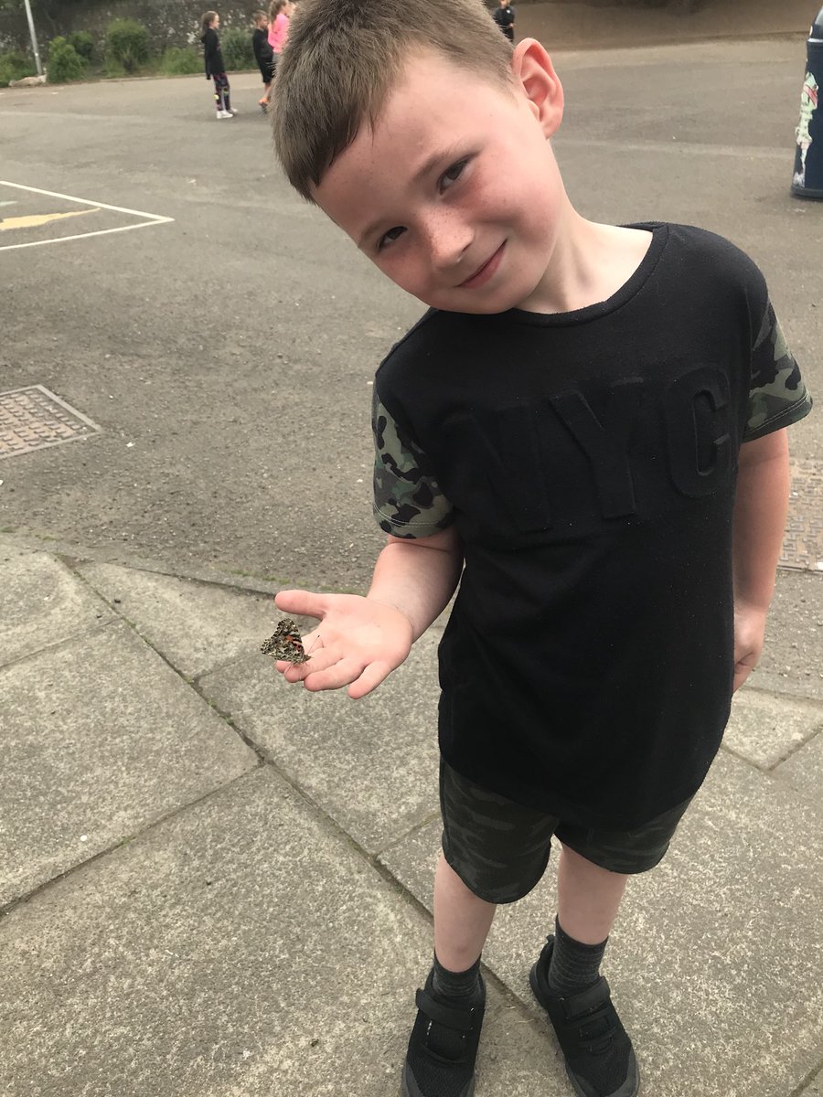 itsMissRaitt's tweet photo. We released our butterflies today.  Some learners were lucky enough to have them land on little hands! https://t.co/xUSluByg1F