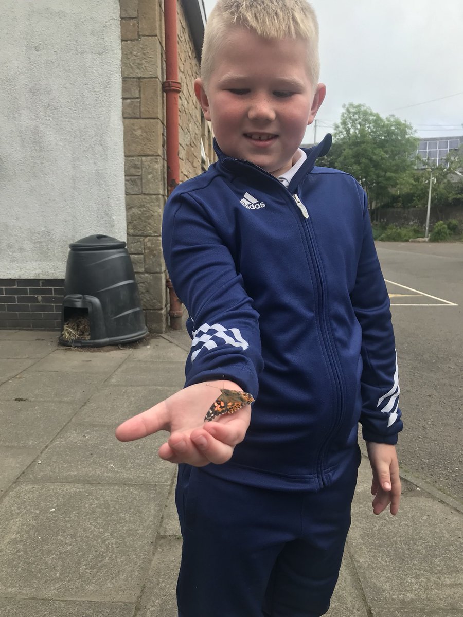 itsMissRaitt's tweet photo. We released our butterflies today.  Some learners were lucky enough to have them land on little hands! https://t.co/xUSluByg1F